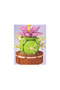 Plant Flowers Cactus 181 Pieces - 3