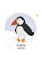 Animals to Save Polar Ice - 4