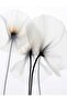 Hari̇kabi̇rev | H&Black and White Abstract Flower Combination | Framed Glass Table 2 Pieces Vertical - 2