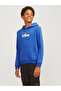 Hoodie Logo Hoodie