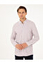 Purple Regular Fit Striped Long Sleeve Shirt 50295253-Vr038 - 3