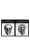 Illumanatomy - 5