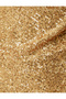 Evening Dress Sequined Mini Degaje Collar with Rope Straps - 6