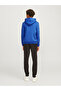 Hoodie Logo Hoodie - 6