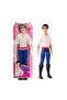 Disney Prince - Eric HLV97