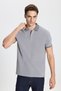 Pack of 2 Non-Shrinkable Cotton Fabric Slim Fit Slim Fit Men's Gray Non-Curling Polo Collar T-Shirt - 3