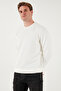 Striped Cotton Crew Neck Sweat Men's Sweat 5905241 - 5