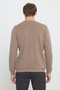 Men's Brown Cotton Standard Fit Regular Cut Crew Neck Jacquard Knitwear Sweater - 5