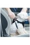 Cat and Dog Vehicle Seat Belt Leash Puppy Pet Leash Car Belt Travel Accessory - 9