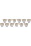12PCS GLASS CAWA CUP SET