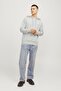Jjferris Sweat Hood Hooded Men's Sweatshirt - 5