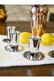 COPPER SHOT CUP MEXICO SILVER COLOR SET OF 6 (12 PIECES) - 3
