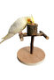Natural Wood Play Stand - with Feeding Cover, for Budgie and Parrot - 2