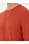 Brown Regular Fit Sweatshirt 50296485 -Vr040 - 7