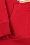 Boy's Tracksuit Set with Dog Embroidery, Age 1-4, Claret Red - 4