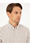 Brown Regular Fit Striped Long Sleeve Shirt 50295253-Vr029 - 2