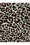 Leopard Patterned Crop Blouse Boat Neck Slim Fit - 6