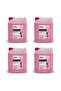 Birka Liquid Hand Sanitizer (ROSE), 5 kg x 4 Pieces