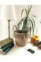 Wicker Jute Basket Decorative Basket Gift Basket Flower Pot Organizer - 4