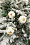 Christmas Tree Ball Luxury Gold Star Printed 3 Pieces 8 cm - 3