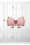 Baby Girl Hospital Room Decoration with Retro Bow - Brown Newborn Room Decoration Set - 2