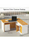 Zelda M230-18 Modern Executive Desk - 3