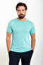 Gray Slim Fit Crew Neck Men's T-Shirt Green - 36811.24Y