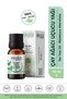 100% Pure Tea Tree Essential Oil 10 ml |   Tea Tree Essential Oil |   Natural Aromatherapy Oil - 5