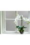 Frosted Window Film - Glass Sandblasting Foil 126 X 200 cm - 4