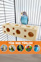 Bird Wooden Block Chewing Toy – Natural and Safe for Parrot, Budgie and Hamster - 4