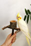 Natural Wood Play Stand - with Feeding Cover, for Budgie and Parrot - 5
