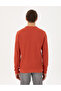 Brown Regular Fit Sweatshirt 50296485 -Vr040 - 5