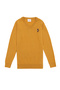 Boy's Mustard Crew Neck Sweater 50255777 -Vr072