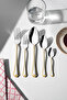 Fulya Altın Sade 12-Person 60-Piece Boxed Cutlery Set