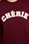 Claret Red Thick Fleece Inside Oversize/Comfortable Cut Slogan Embroidered Knitted Sweatshirt Twoaw25Sw00030 - 4