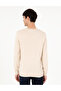 Beige Slim Fit Crew Neck Basic Knitwear Sweater 50296575 -Vr011 - 5