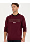 Burgundy Regular Fit Crew Neck Sweatshirt 50279532-Vr014 - 3