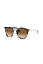 Rb2204 902/51 54 20 145 Sunglasses