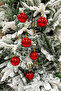 Christmas Tree Ball Shiny Medium Size 6 cm 6 Pieces - 2