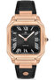 Men's Wrist Watch S.Em348R-04Br