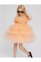 Satin Fabric, Tutu Nimfea Girl's Evening Dress Mnk0597 Somon