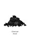 Pure Clay Black Face Cleanser with Charcoal, Detoxifies & Clarifies, 150 ML - 3