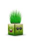 10 Pieces Mixed 3 Sided Emoji Cube Grass Men School and Preschool Gift Çimoji Grass Man - 6