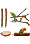 6 Pieces Bird Perches Set - Wooden Perches, Parrot Stand & Toys, for Lovebirds - 2
