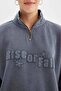 Loose Fit Half Zip Washed Thick Fabric Sweatshirt - 5