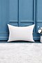 Filled Rectangular Throw Pillow Inner Pillow 50X30Cm