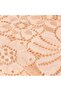 2 Pack Lace Cotton Women's Panties, Skin Color - 3