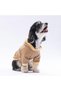 Grizzly Dog Hoodie Dog Sweat Dog Outfit Cat Outfit - 4