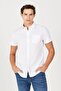 Regular Fit Normal Cut Short Sleeve Button Collar Linen Shirt