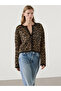 Women's Black Brown Leopard Print Short Bearded Knitwear Cardigan